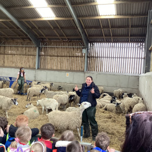 EYFS Farm Visit