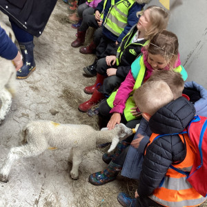 EYFS Farm Visit 6