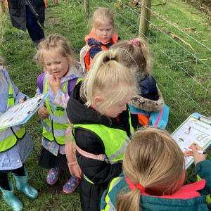 EYFS Farm Visit 3