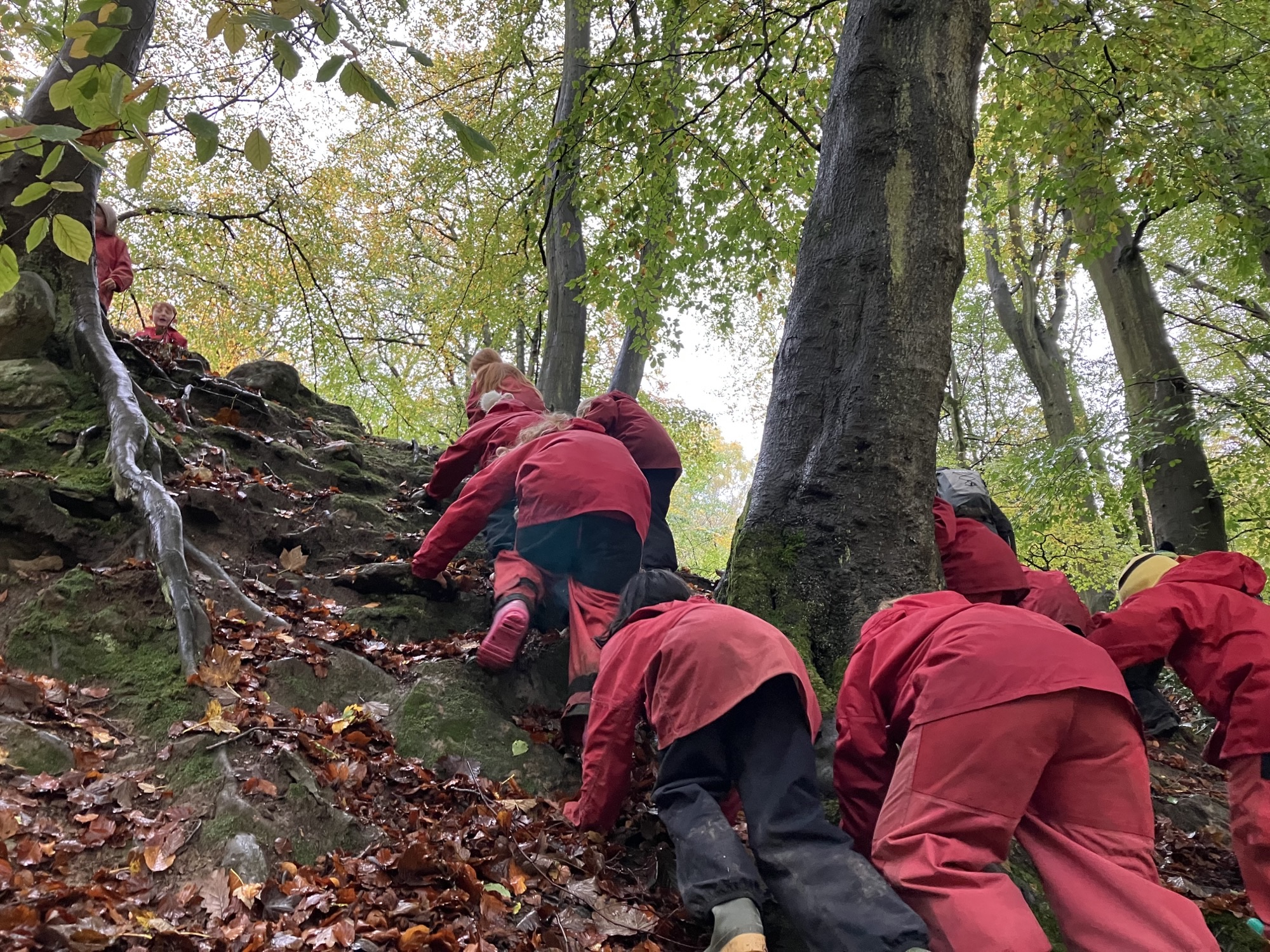 Adventures on the way to shelter building 2